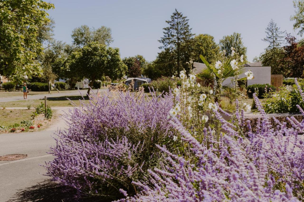 Camping Onlycamp Tours Val De Loire Saint-Avertin Exteriör bild