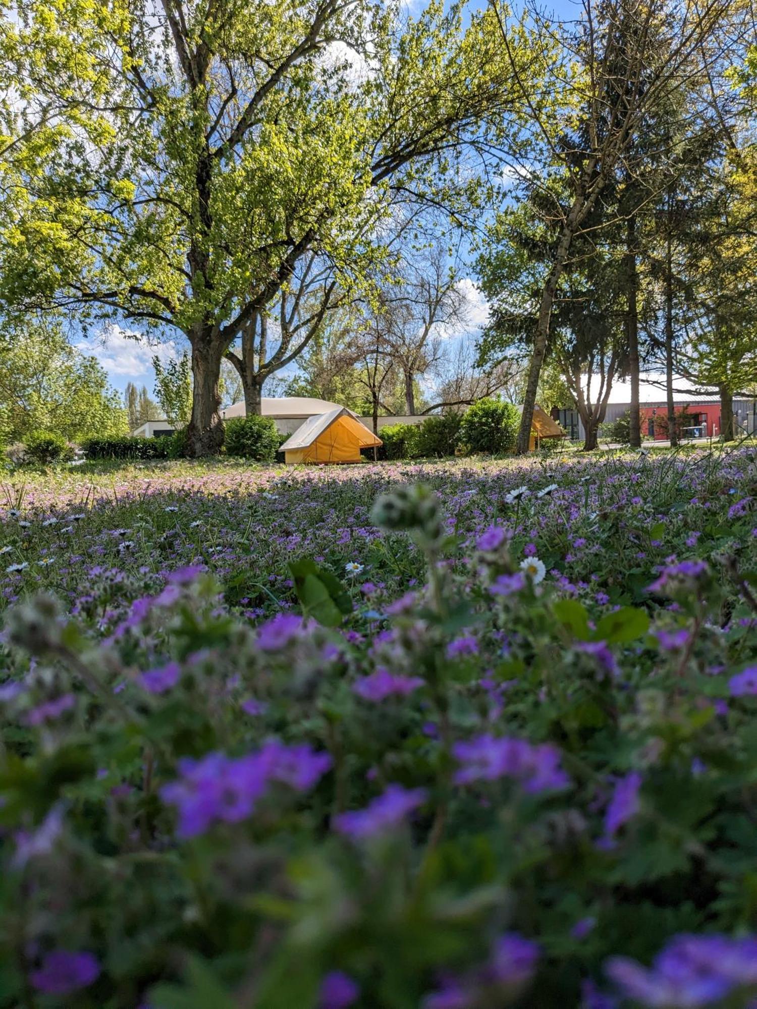 Camping Onlycamp Tours Val De Loire Saint-Avertin Exteriör bild